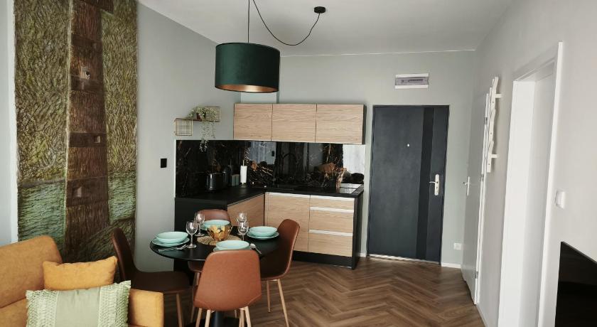 Apartament Deluxe z 1 sypialnią i widokiem na miasto